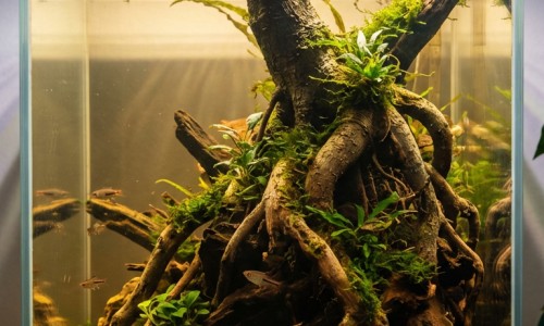 下面一直潮湿-月经期间下雨天能出门吗、月经期间下雨脚泡了凉水 -月经期间下雨网